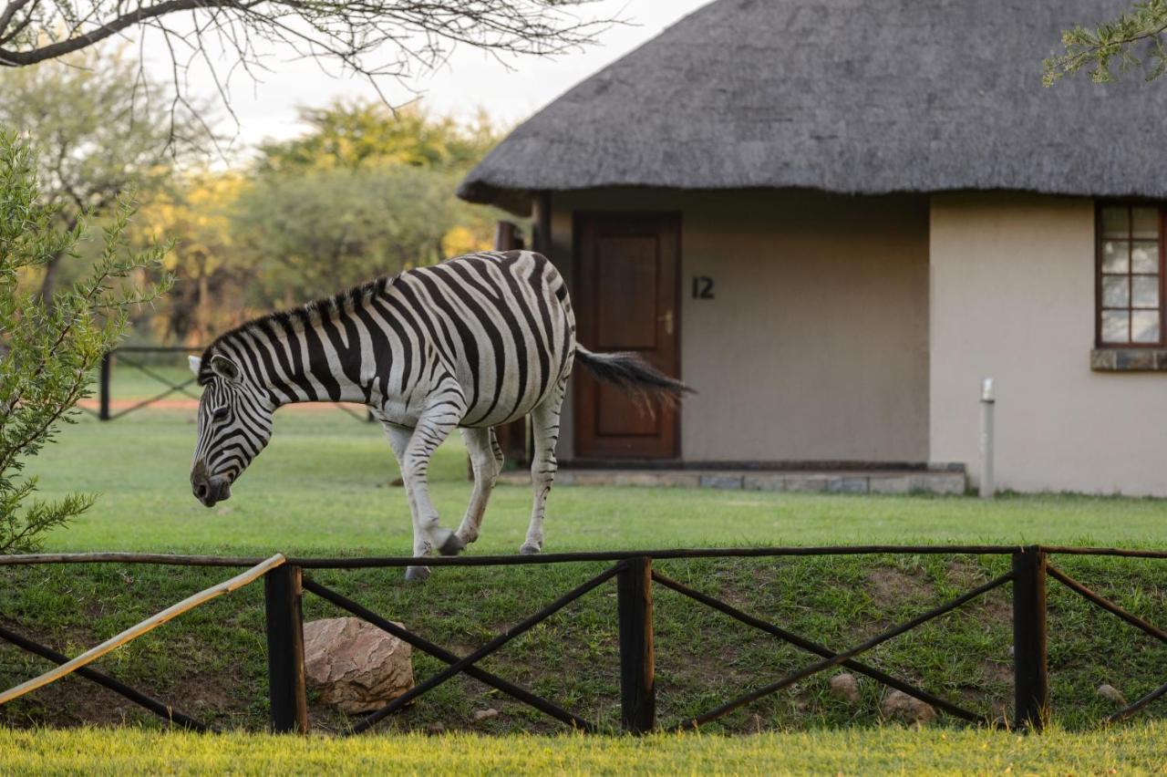 Mongena Private Game Lodge Rust de Winter Luaran gambar
