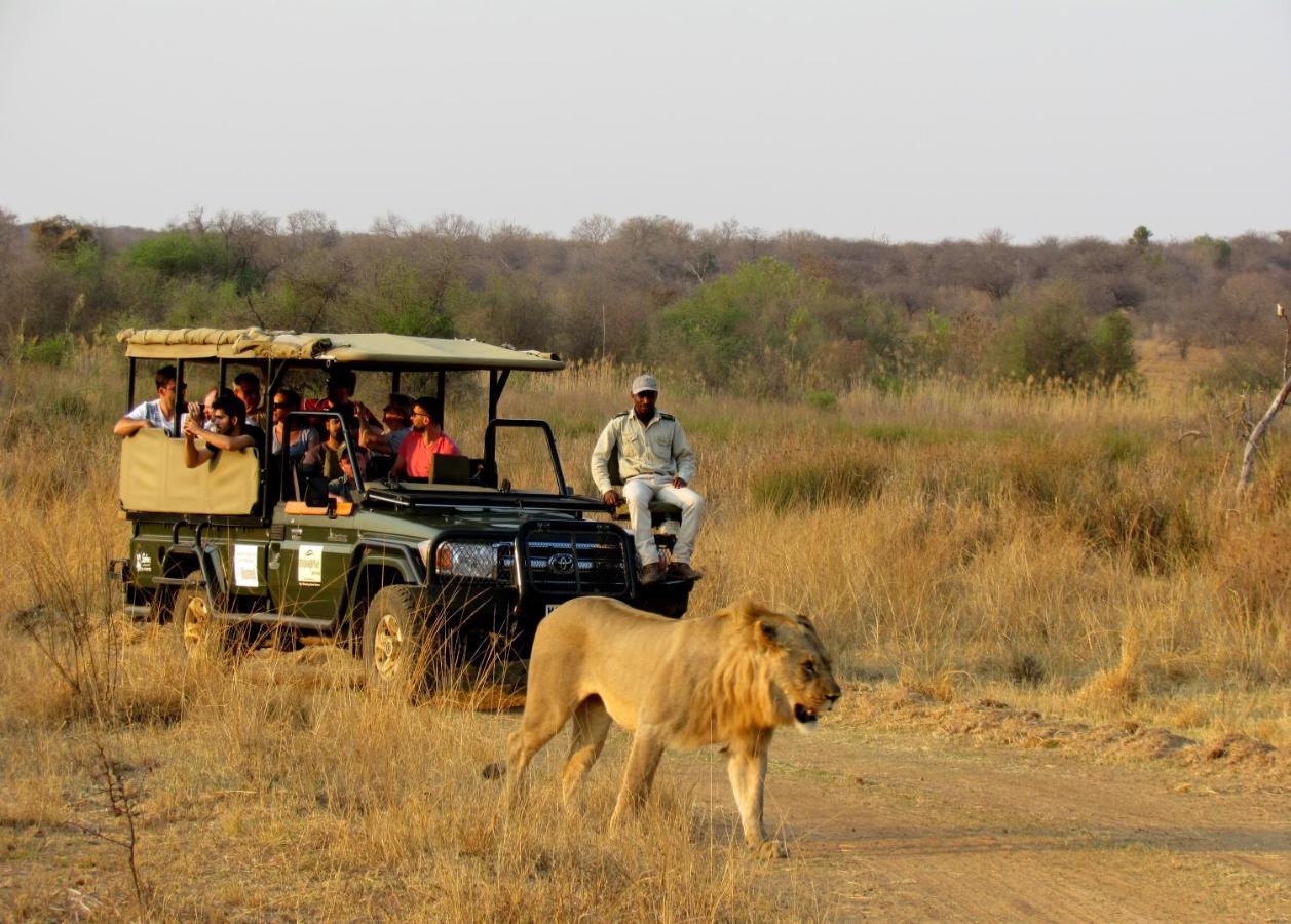 Mongena Private Game Lodge Rust de Winter Luaran gambar